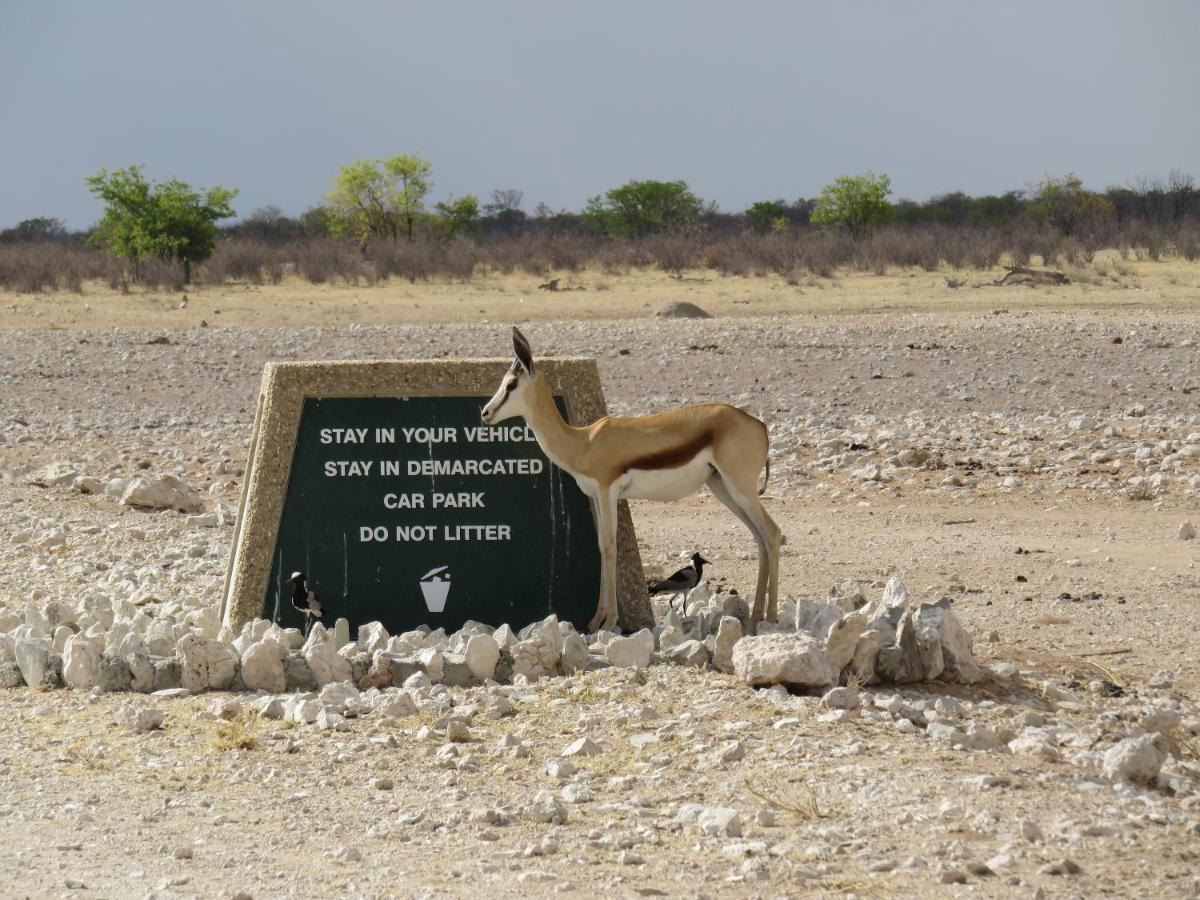 Etosha Safari Campsite Экстерьер фото